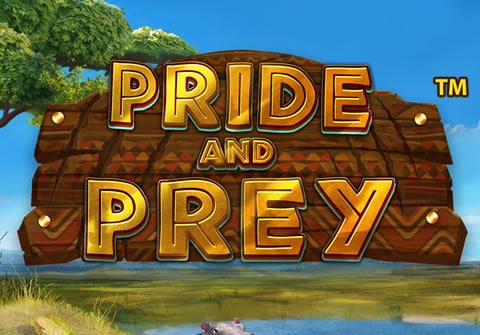  Pride and Prey Video Slot Review