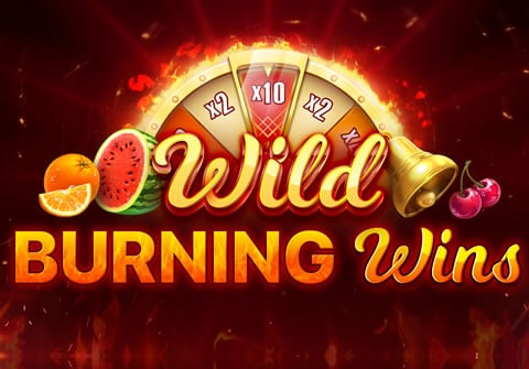  Wild Burning Wins: 5 Lines Video Slot Review