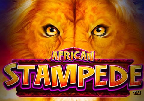 African Stampede Free Online Slots