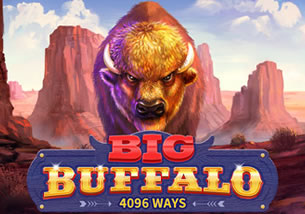  Big Buffalo Video Slot Review