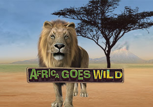 Leander Games  Africa Goes Wild Video Slot Review