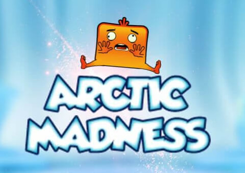  Arctic Madness Video Slot Review