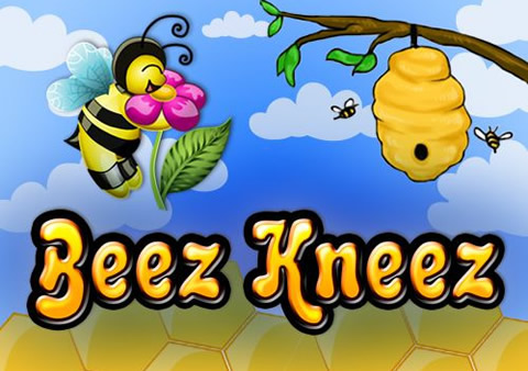  Beez Kneez Video Slot Review