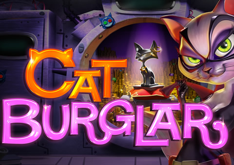  Cat Burglar Video Slot Review