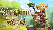 Rabcat  Gnome Wood Video Slot Review