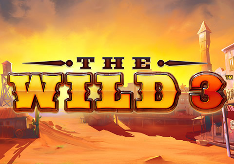  The Wild 3 Video Slot Review