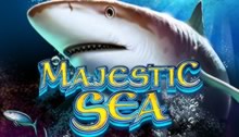  Majestic Sea Video Slot Review