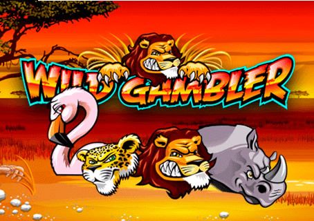  Wild Gambler Video Slot Review