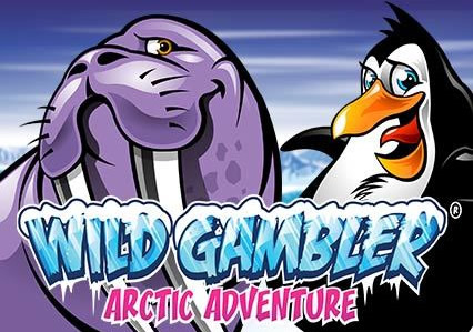 Ash Gaming  Wild Gambler Arctic Adventure Video Slot Review