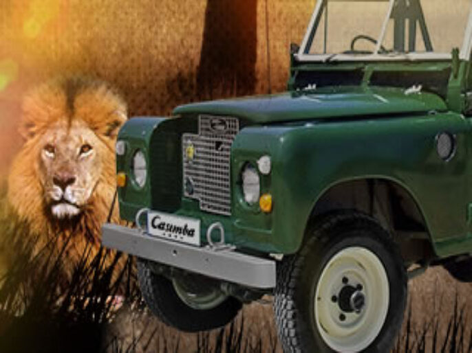 Head to South Africa on a 5 star safari holiday with Casimba Casino’s monthly promotion