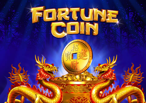  Fortune Coin Video Slot Review