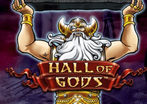 Hall of Gods slot