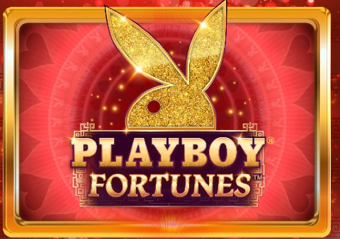 Playboy Fortunes slot logo