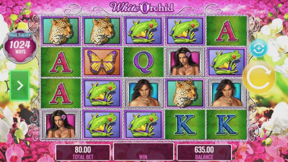 White Orchid slot base game