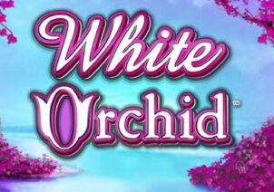 White Orchid slot logo