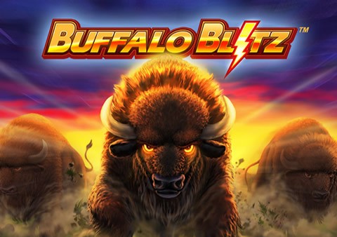Playtech Buffalo Blitz Video Slot Review