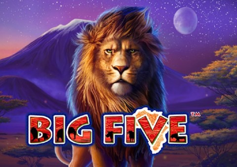 Novomatic Big Five  Video Slot Review