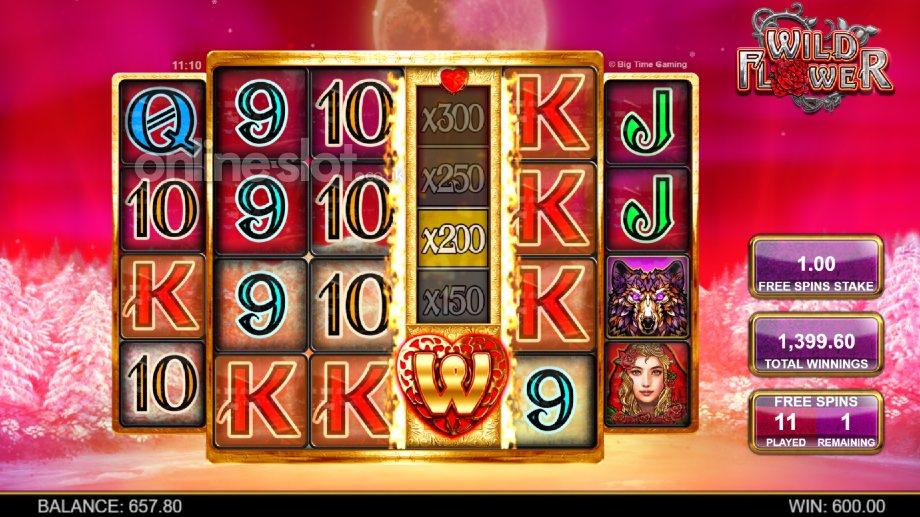 wild-flower-slot-mega-multiplier-free-spins-feature