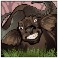 mega-moolah-slot-buffalo-symbol