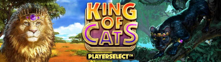 king-of-cats-megaways-slot-big-time-gaming
