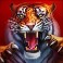 rome-the-golden-age-slot-tiger-symbol