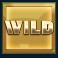 wheel-of-fortune-megaways-slot-wild-symbol