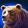 buffalo-blitz-2-slot-bear-symbol