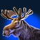 buffalo-blitz-2-slot-moose-symbol