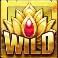 katmandu-gold-slot-gold-lotus-wild-symbol