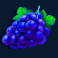 sweet-bonanza-slot-blueberries-symbol