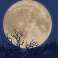 full-moon-fortunes-slot-full-moon-scatter-symbol