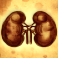 mental-slot-lungs-symbol