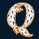 piggy-riches-megaways-slot-q-symbol