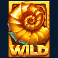 raptor-doublemax-slot-fossil-wild-symbol