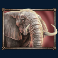 savanna-roar-slot-elephant-symbol