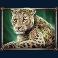 savanna-roar-slot-leopard-symbol