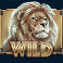 savanna-roar-slot-lion-wild-symbol