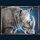 savanna-roar-slot-rhino-symbol