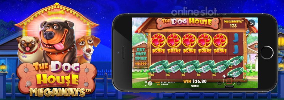 The dog Household Megaways Slot Enjoy 100 percent free Harbors 2024