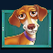 the-dog-house-megaways-slot-dachshund-symbol
