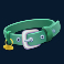 the-dog-house-megaways-slot-dog-collar-symbol