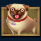 the-dog-house-megaways-slot-pug-symbol