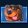 the-dog-house-megaways-slot-rottweiler-symbol