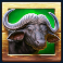 zulu-gold-slot-wildebeest-symbol