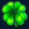 cash-bonanza-slot-clover-symbol