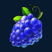 cash-bonanza-slot-grape-symbol