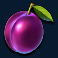cash-bonanza-slot-plum-symbol