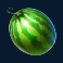 cash-bonanza-slot-watermelon-symbol