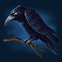 halloween-fortune-slot-black-crow-symbol