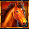 mystic-chief-slot-mustang-symbol